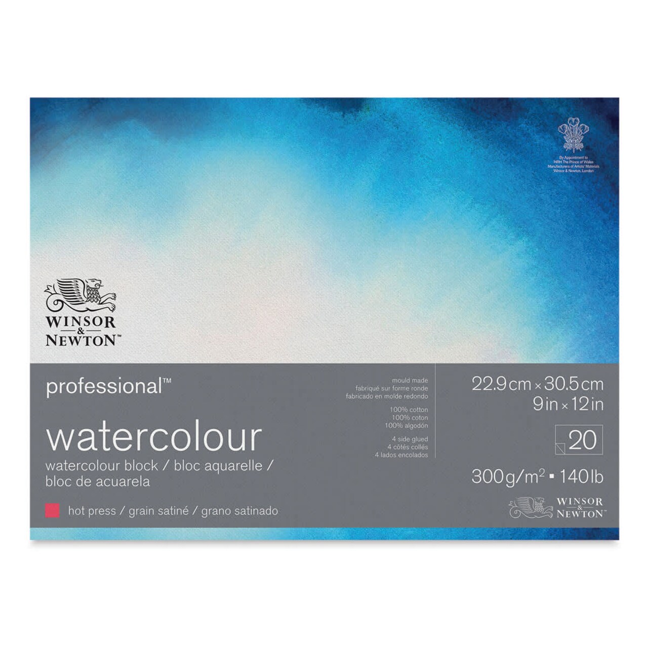 Winsor & Newton Professional Watercolor Block - 9" x 12", Hot Press